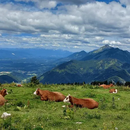 Apartma Krvavec - Cosy Mountain Retreat