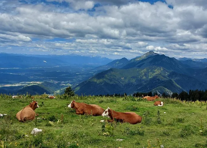 Apartma Krvavec - Cosy Mountain Retreat